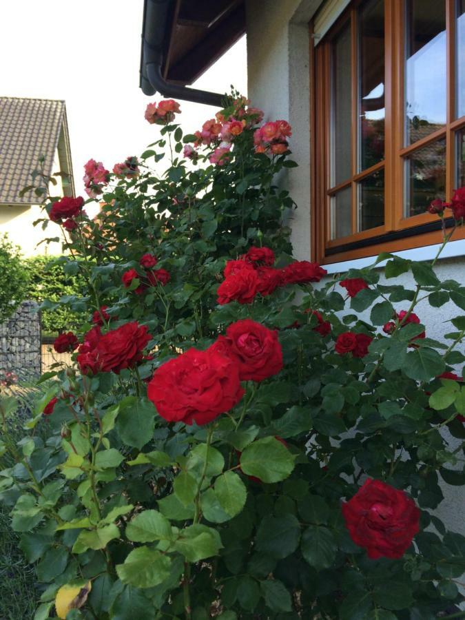 Ferienwohnung Stoerblick Schwerin Raben Steinfeld Kültér fotó